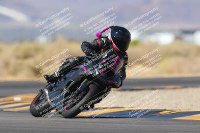 media/Nov-11-2023-SoCal Trackdays (Sat) [[efd63766ff]]/Turn 16 (11am)/